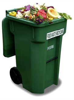food waste