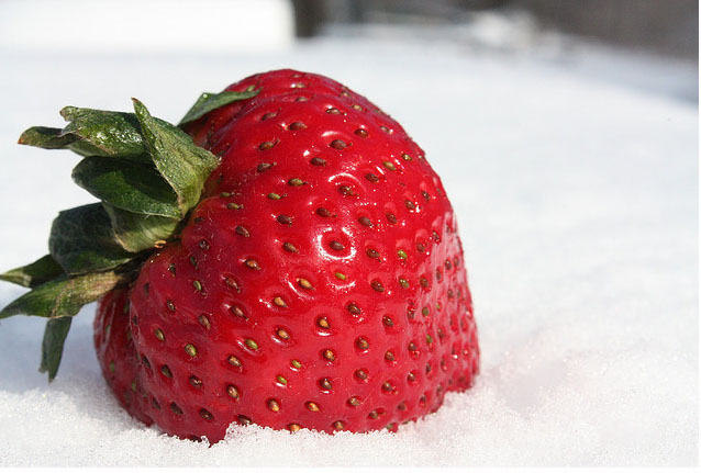 strawberry snow