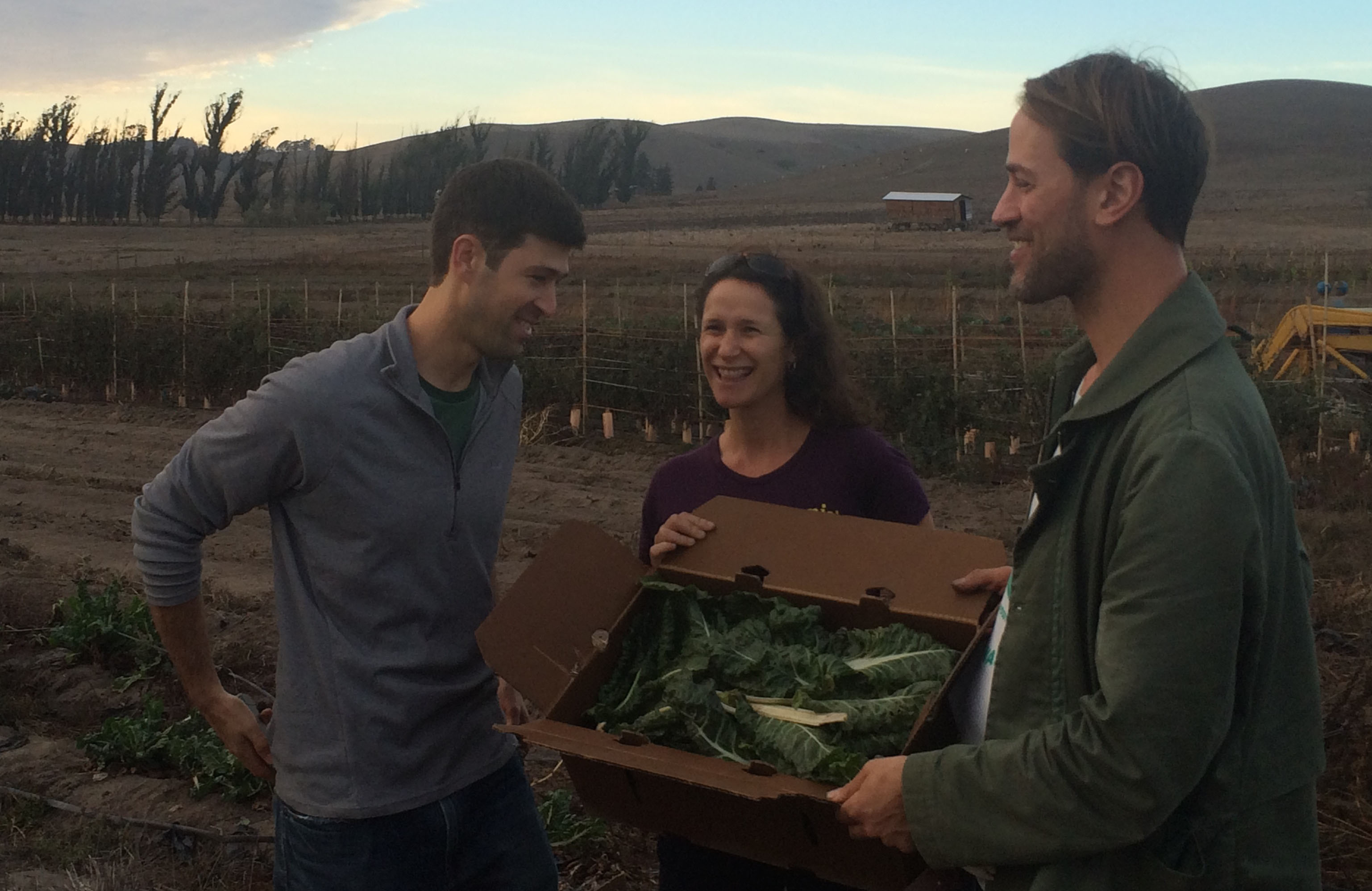 Jonathan Bloom, Dana Gunders and Tristram Stuart show what they gleaned at Bloomfield Organics for Feeding the 5000: Oakland