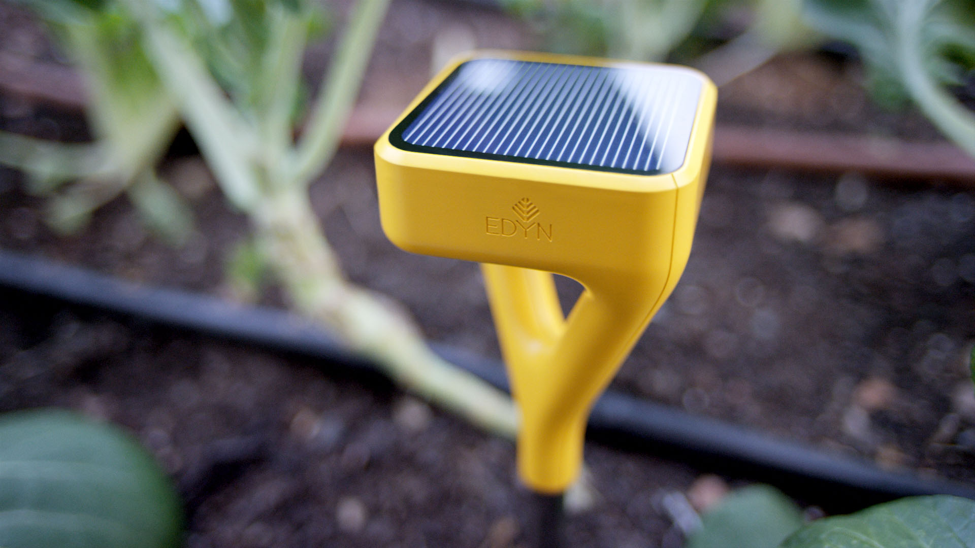 Eden Garden Sensor