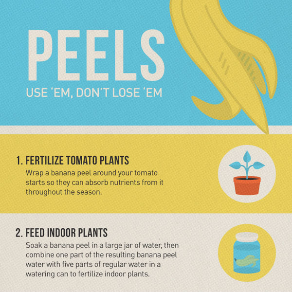 10 Things to Do With Banana Peels
