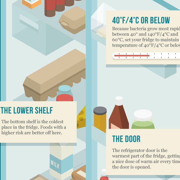 Refrigerator Organization Guide